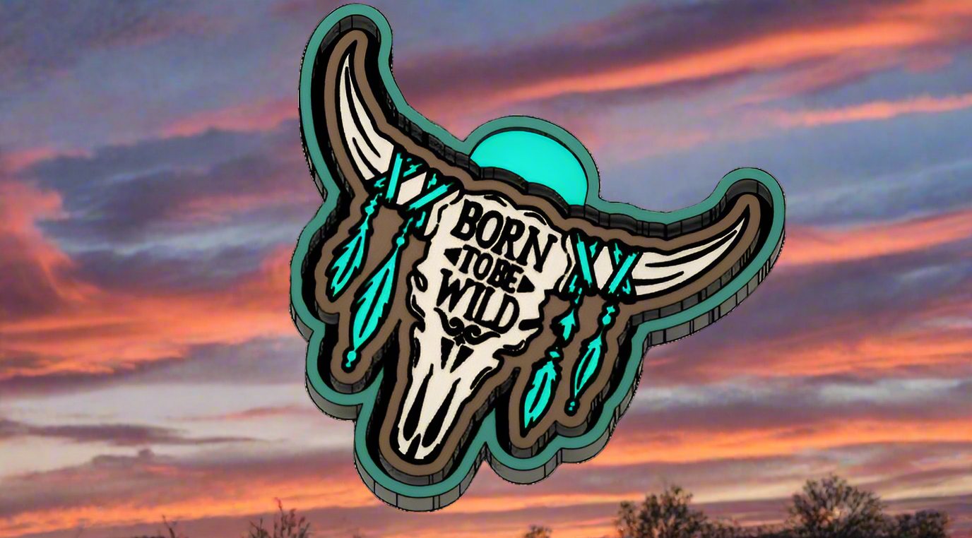 Longhorn Skull w/feathers