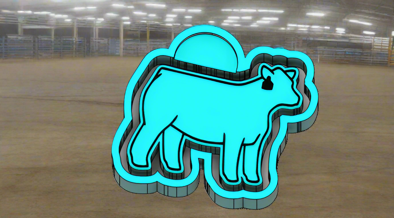 FFA Show Heifer
